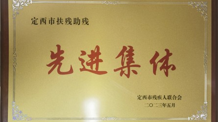 定西市扶殘助殘先進集體